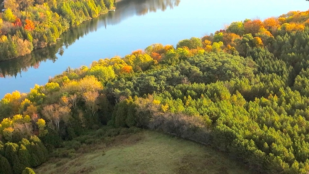 Everything you should know about Oak Ridges Moraines ecosystem