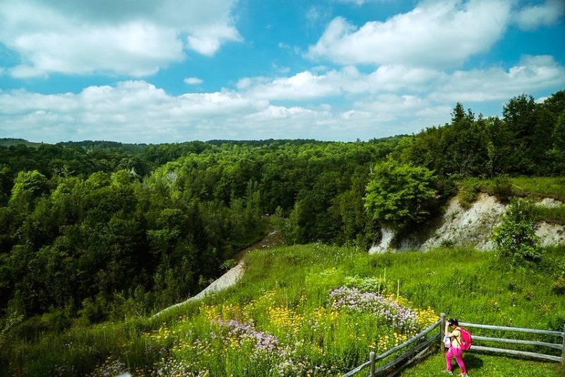 Rouge National Urban Park