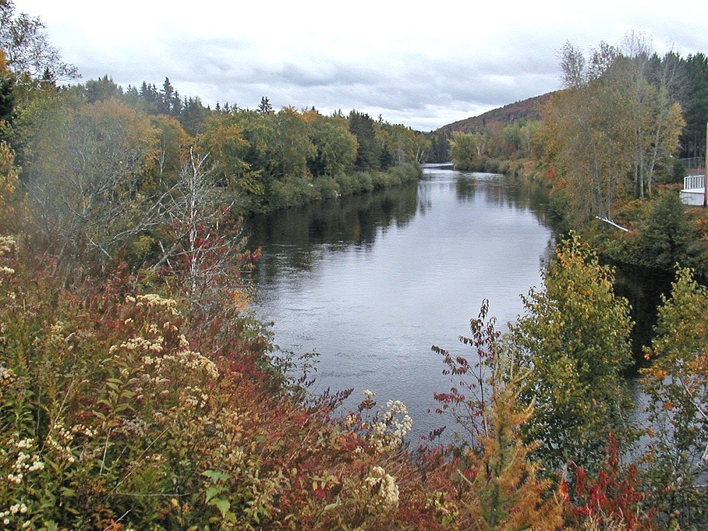 What future waits for Rouge River Valley watershed